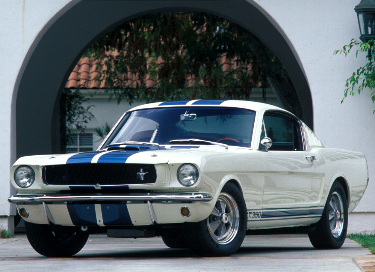 What’s Your Favorite Shelby? Take Our Poll.